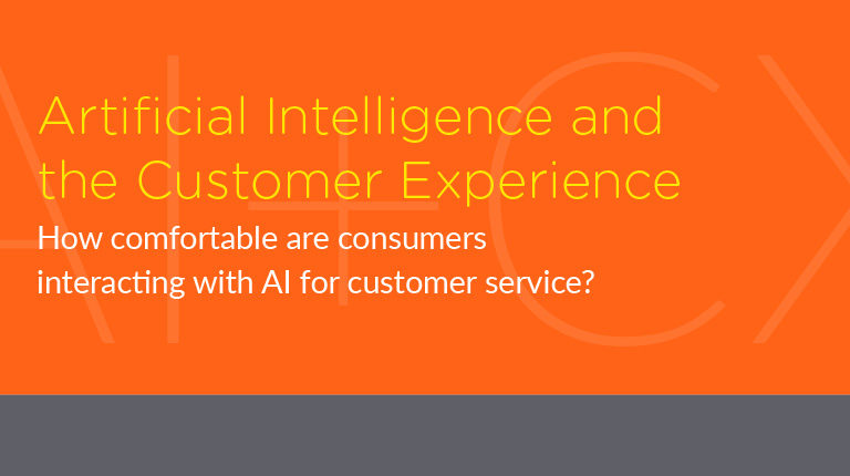 Artificial Intelligence and the Customer Experience