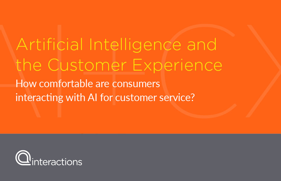 Artificial Intelligence and the Customer Experience