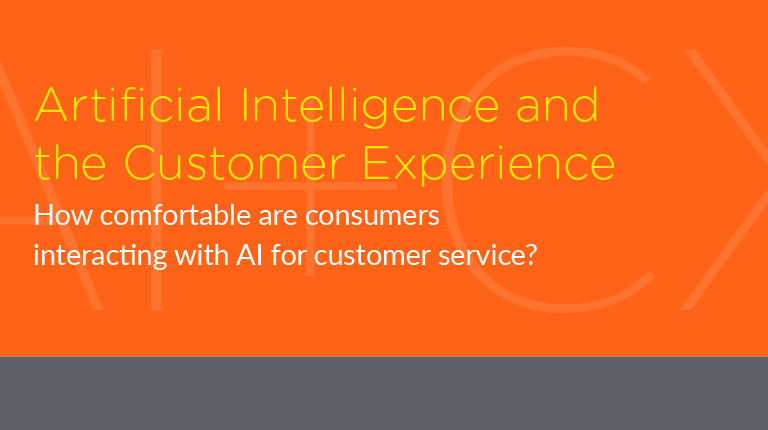Artificial Intelligence and the Customer Experience