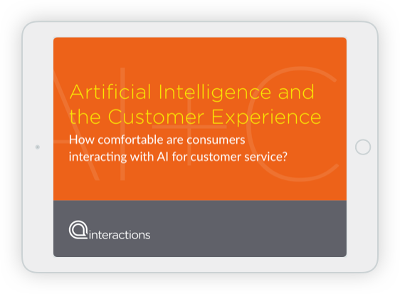 Artificial Intelligence and the Customer Experience