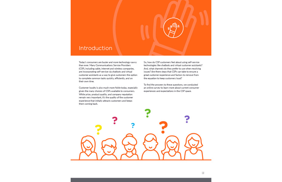 CSP Customer Experience Preferences p2